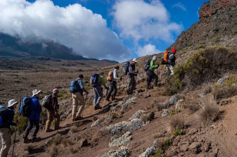 Group Hiking Up Mount Kilimanjaro