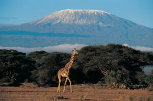 Tips And Planning For Climbing Kilimanjaro